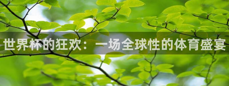 男足世界杯预选赛赛程:世界杯的狂欢:一场全球性的体育盛宴