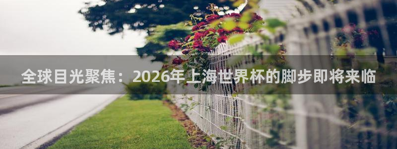 亚洲杯足球:全球目光聚焦:2026年上海世界杯的脚步即将来临