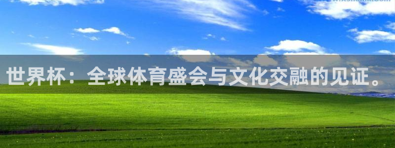 2026世界杯南美区积分榜:世界杯:全球体育盛会与文化交融的见证。