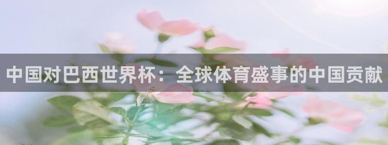 世界杯预选赛赛程时间表:中国对巴西世界杯:全球体育盛事的中国贡献