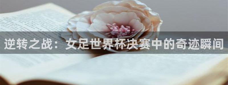 世界杯2026赛制:逆转之战:女足世界杯决赛中的奇迹瞬间
