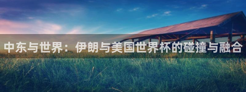 2006年世界杯冠军:中东与世界:伊朗与美国世界杯的碰撞与融合