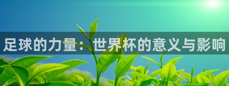 世界杯球赛:足球的力量:世界杯的意义与影响