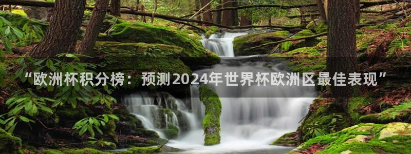 法国杯2026赛程表:“欧洲杯积分榜:预测2024年世界杯欧洲区最佳表现”