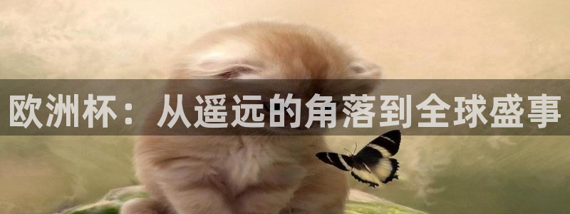 美国世界杯:欧洲杯:从遥远的角落到全球盛事